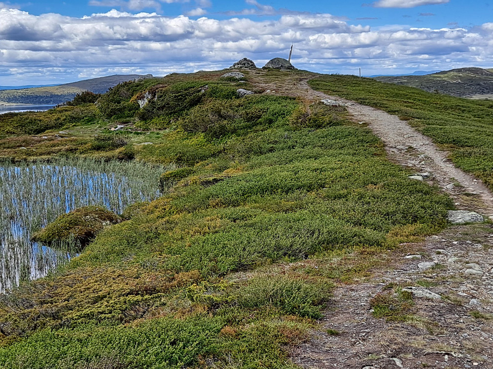 På Kriksfjellet