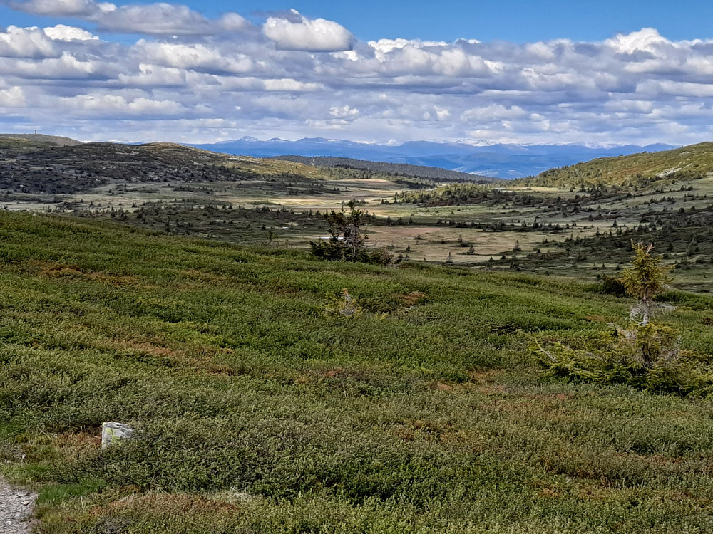 På Kriksfjellet