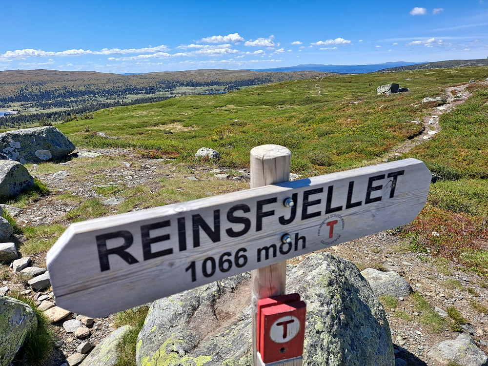 På Reinsfjellet