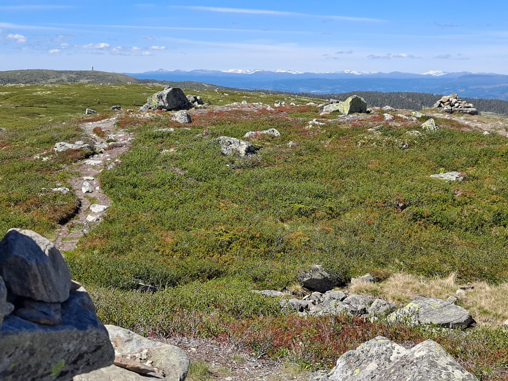 På Reinsfjellet