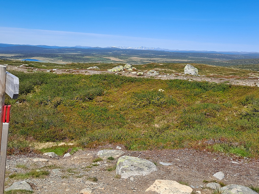 På Reinsfjellet