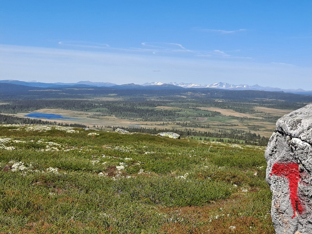 Mot Rondane