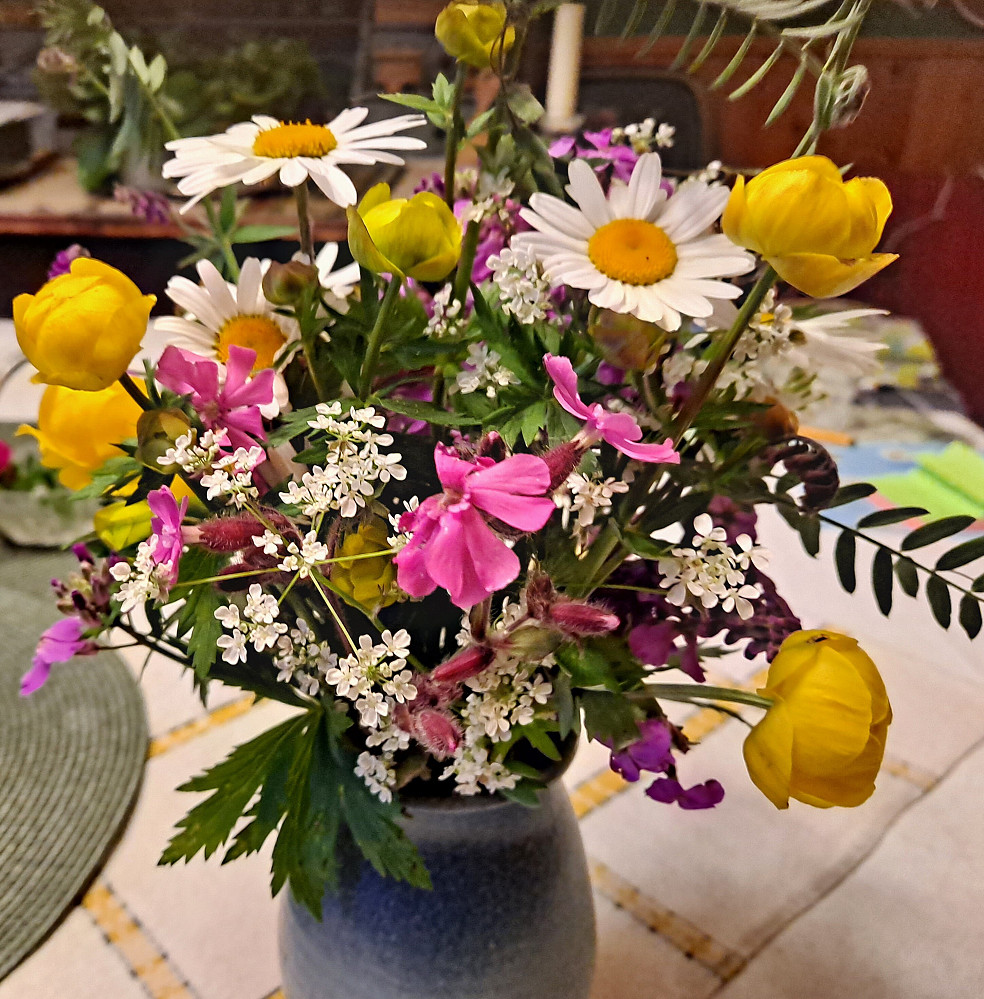 Blomster plukket på turen ved Kanalen