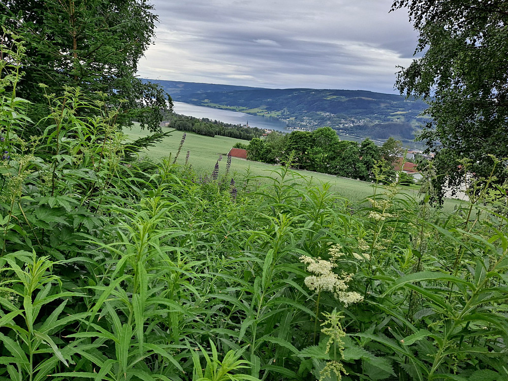 Over Lysgårdsjordet mor Mjøsa