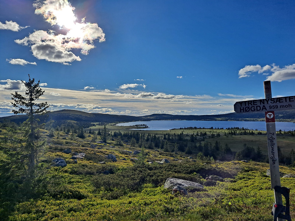 På Ytre Nysæterhøgda