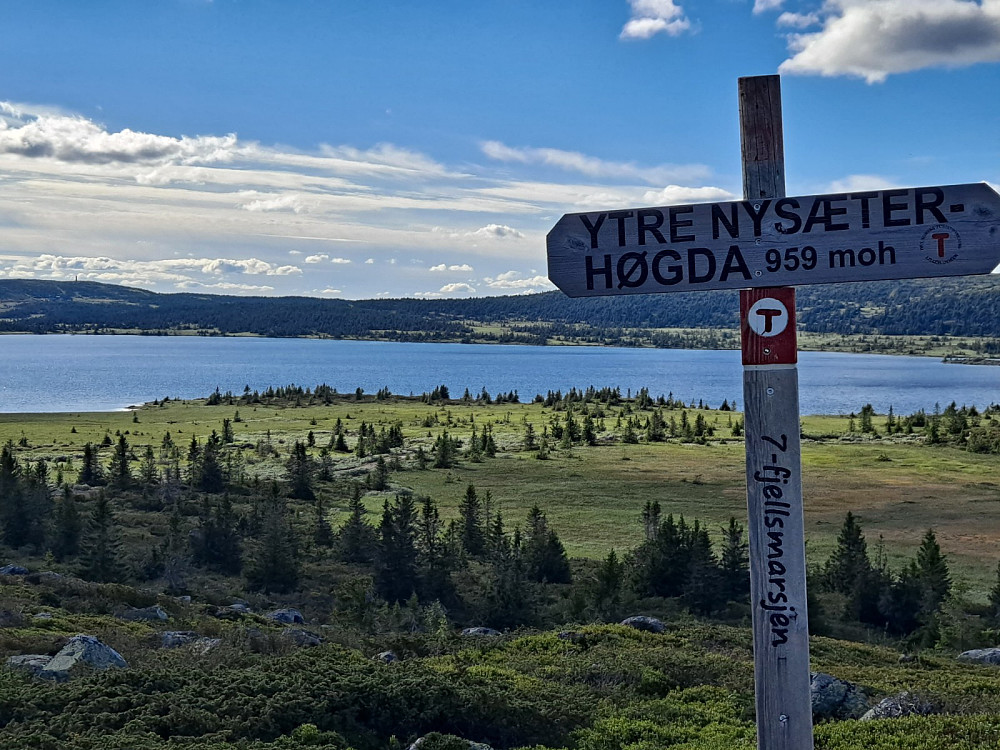På Ytre Nysæterhøgda