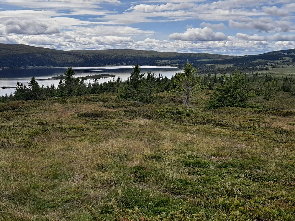 På Reinaflyten