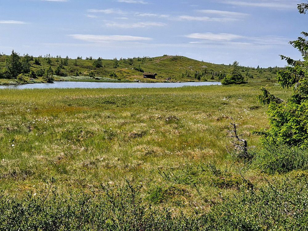 Ser over Lunken mot Sjusjøfjellet