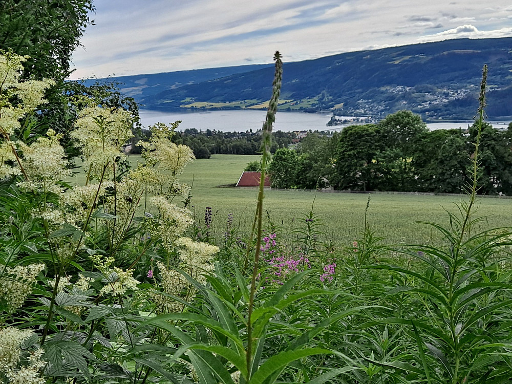 Over Lysgårdsjordet motLillehammer