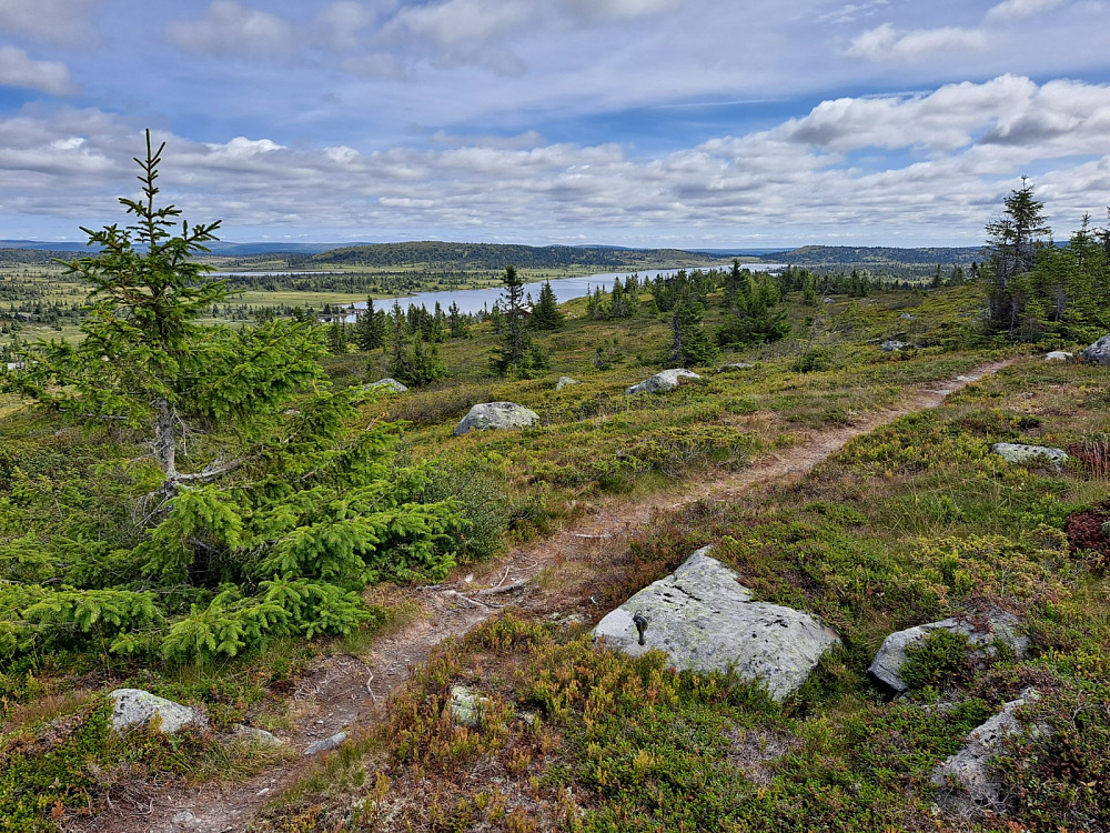 På Indre Nysæterhøgda, mot Melsjøen