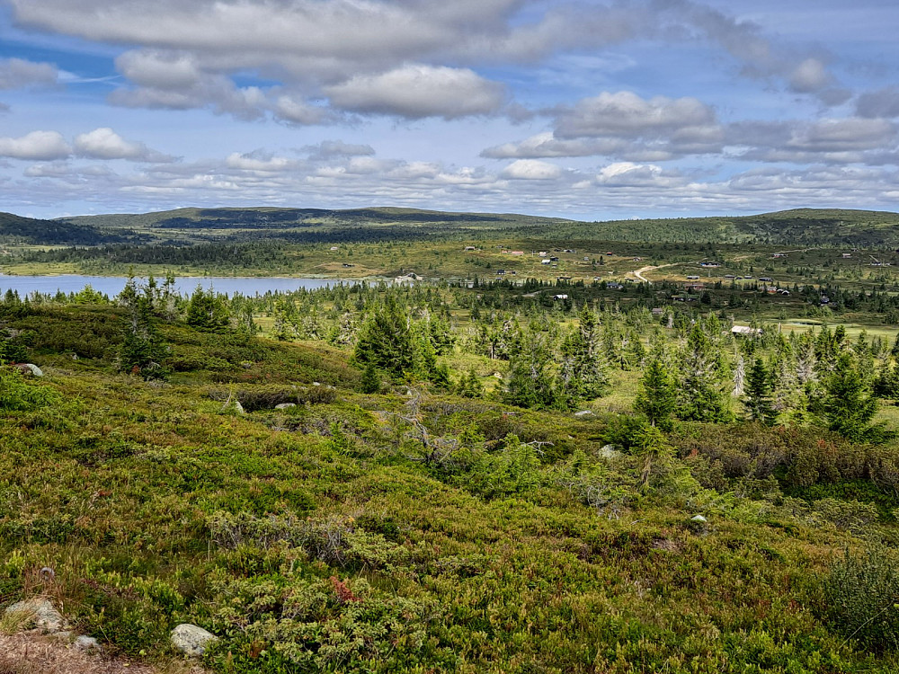 På Indre Nysæterhøgda, mot Indre Reina