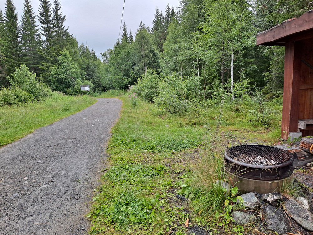 Hammerkoia