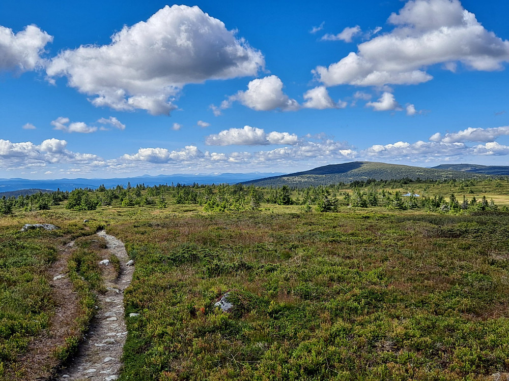 På Lunkefjell vest