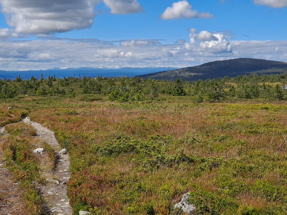 På Lunkefjell vest