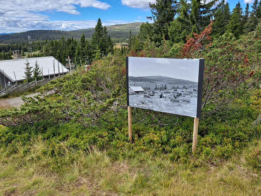 Ved Kaussetra