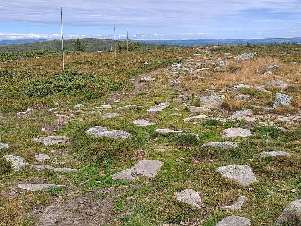 På Mostfjellet