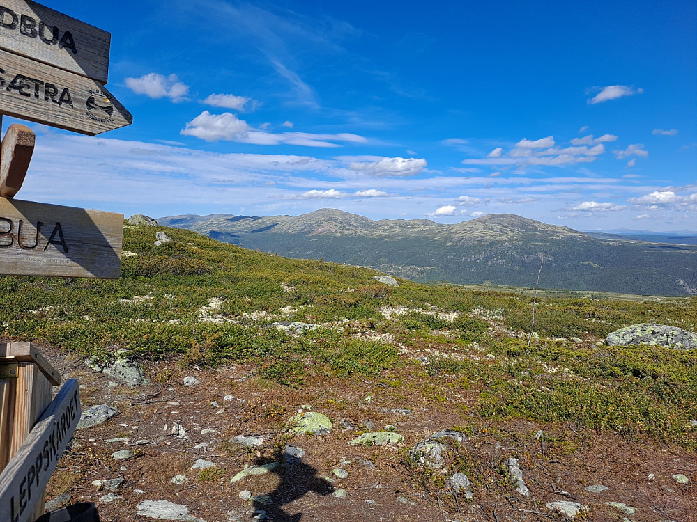 Gråhøene fra Leppskardet