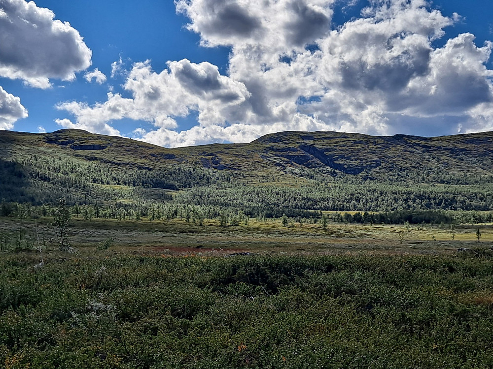 Oppover mot Leppskardet