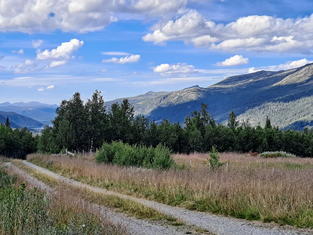 Ved Melgardssetra