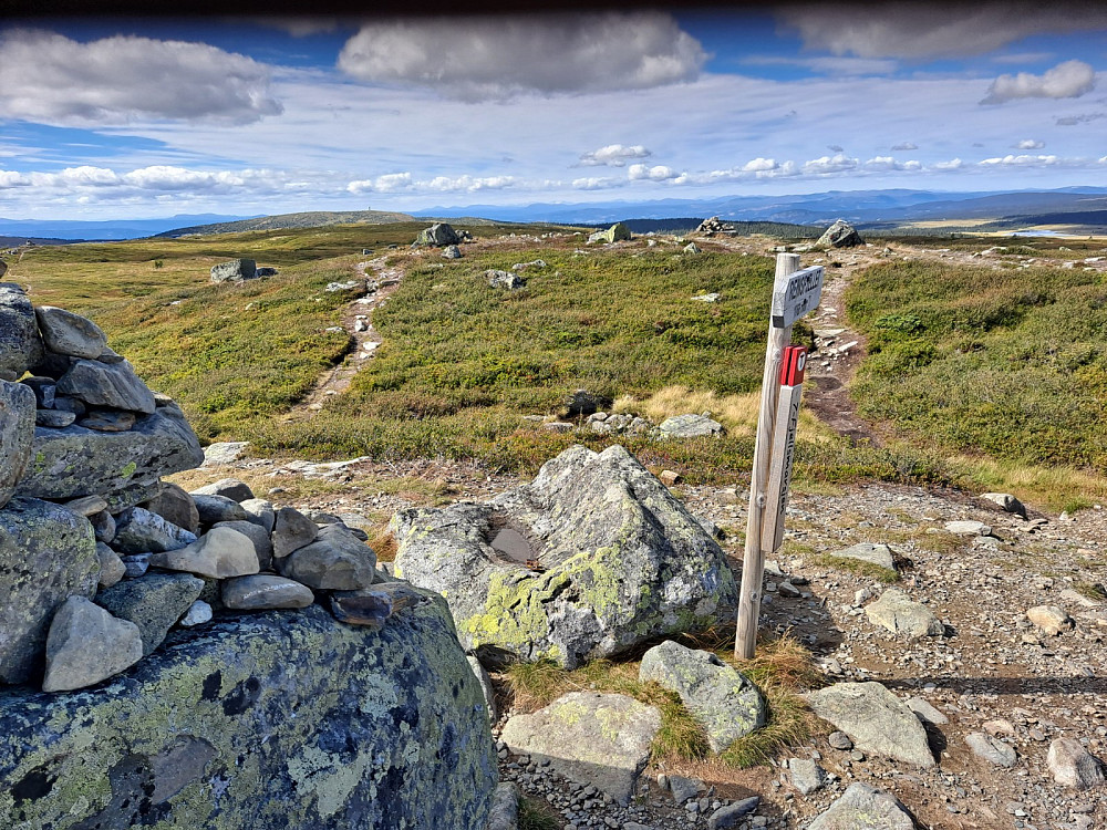 På Reinsfjellet
