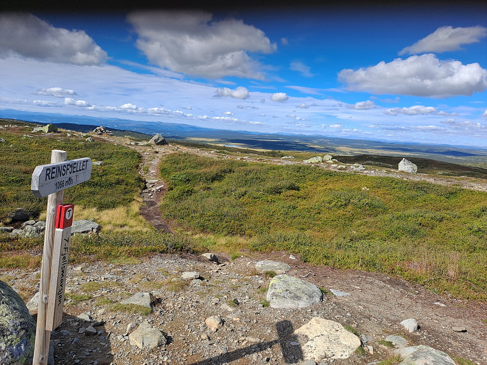 På Reinsfjellet