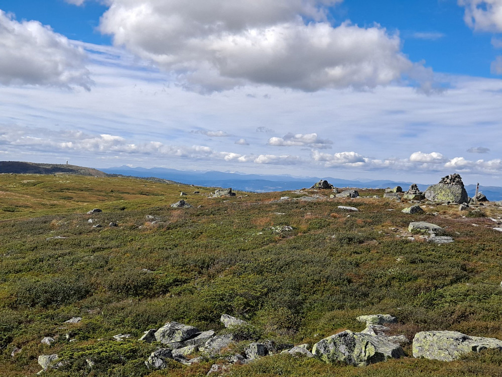 På Reinsfjellet