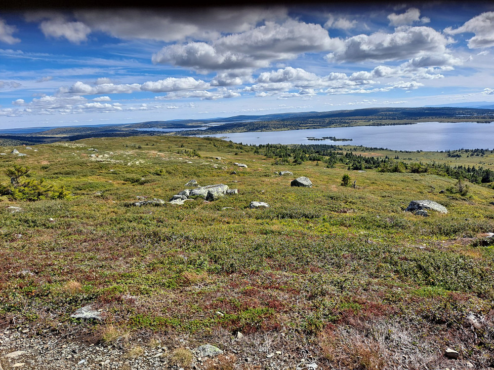 På Reinsfjellet