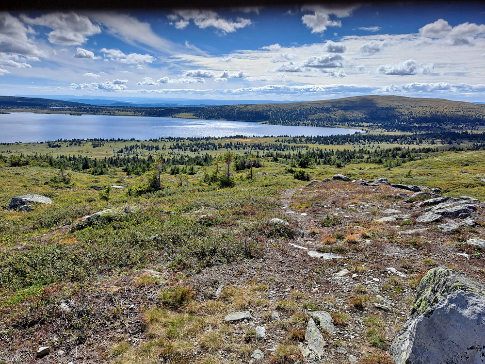 På Reinsfjellet
