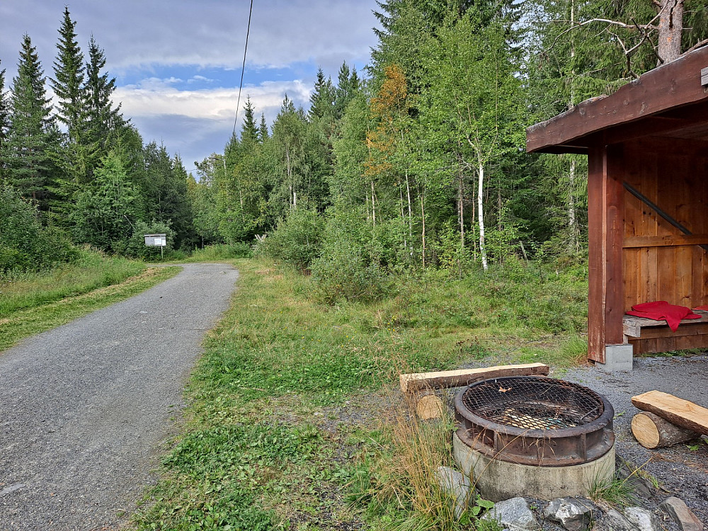 Ved Hammerkoia
