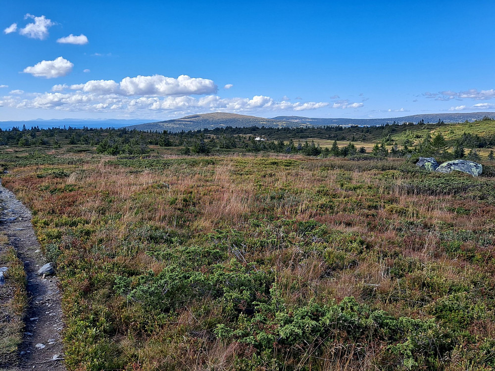 På Lunkefjell vest