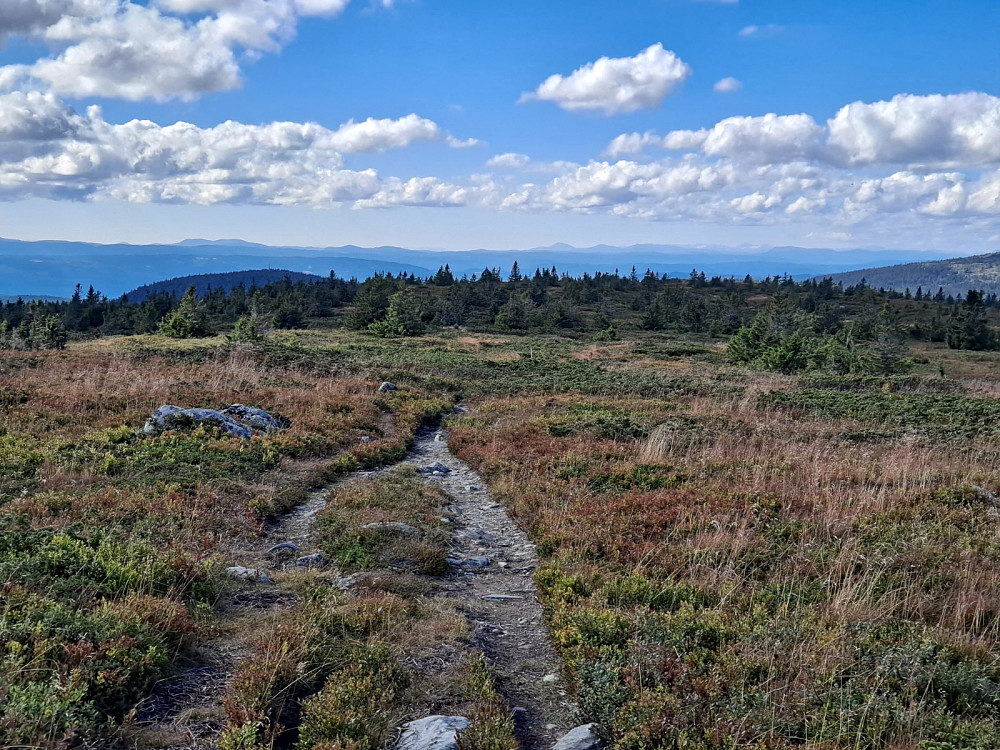 På Lunkefjell vest