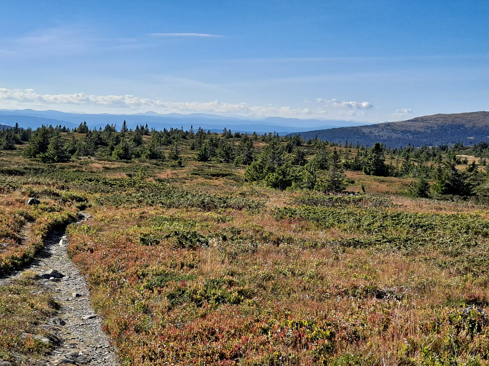 På Lunkefjell vest