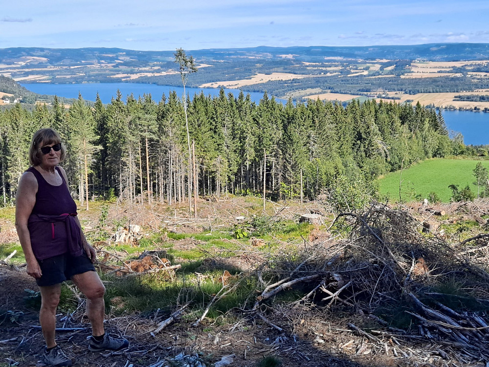 Nesten oppe på Bergstoppen
