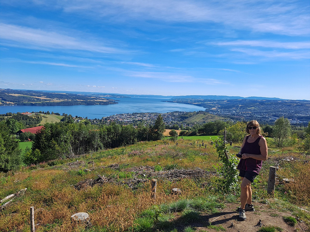 Flere utsiktspunkter på Bergstoppen