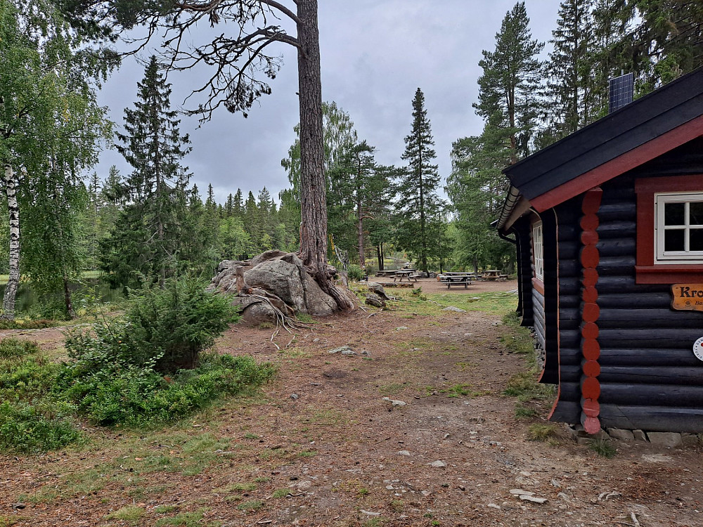 Ved Krokbua