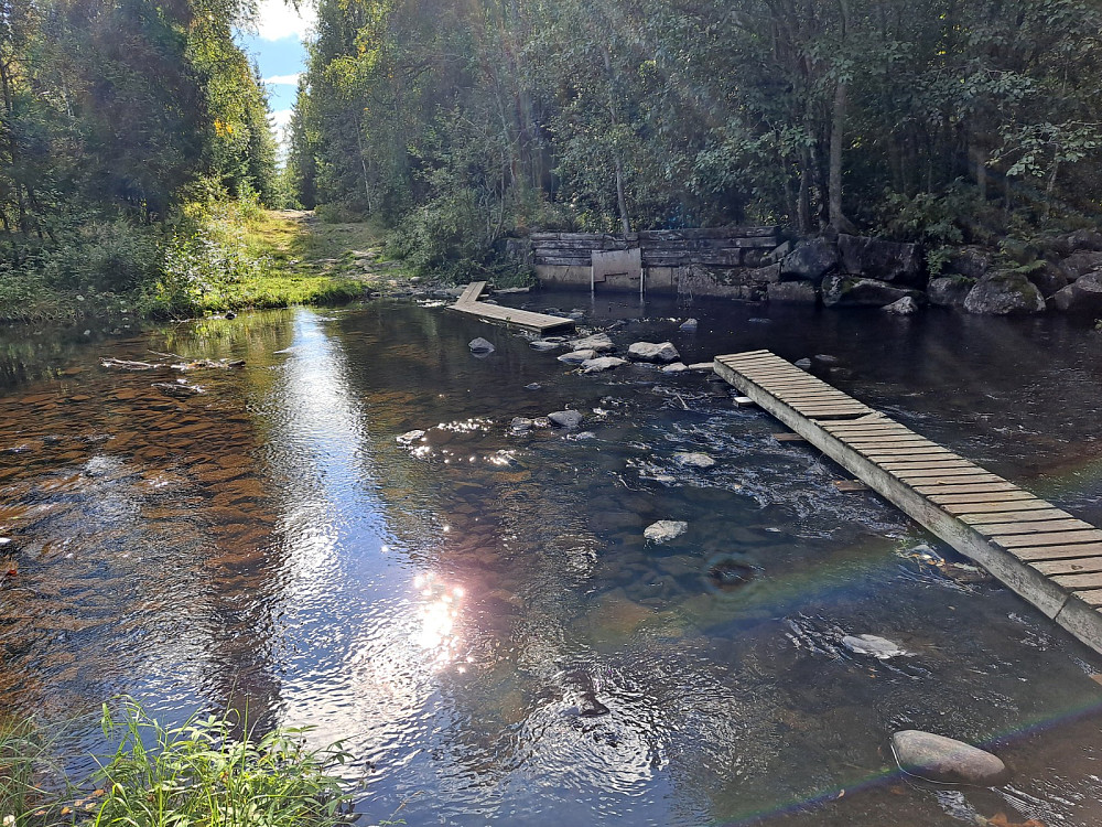 Mesnaelva