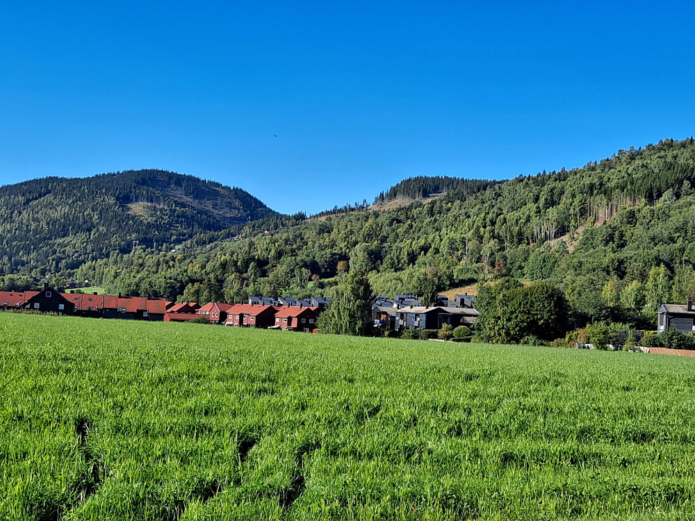 Blestervegen