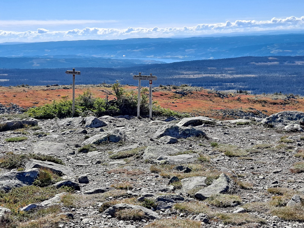 På Slåsæterfjellet