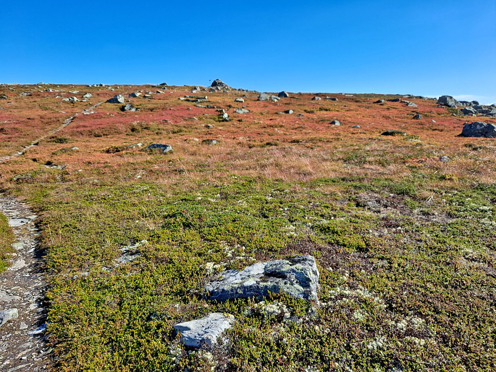 Høstfarger mot Nevelfjell