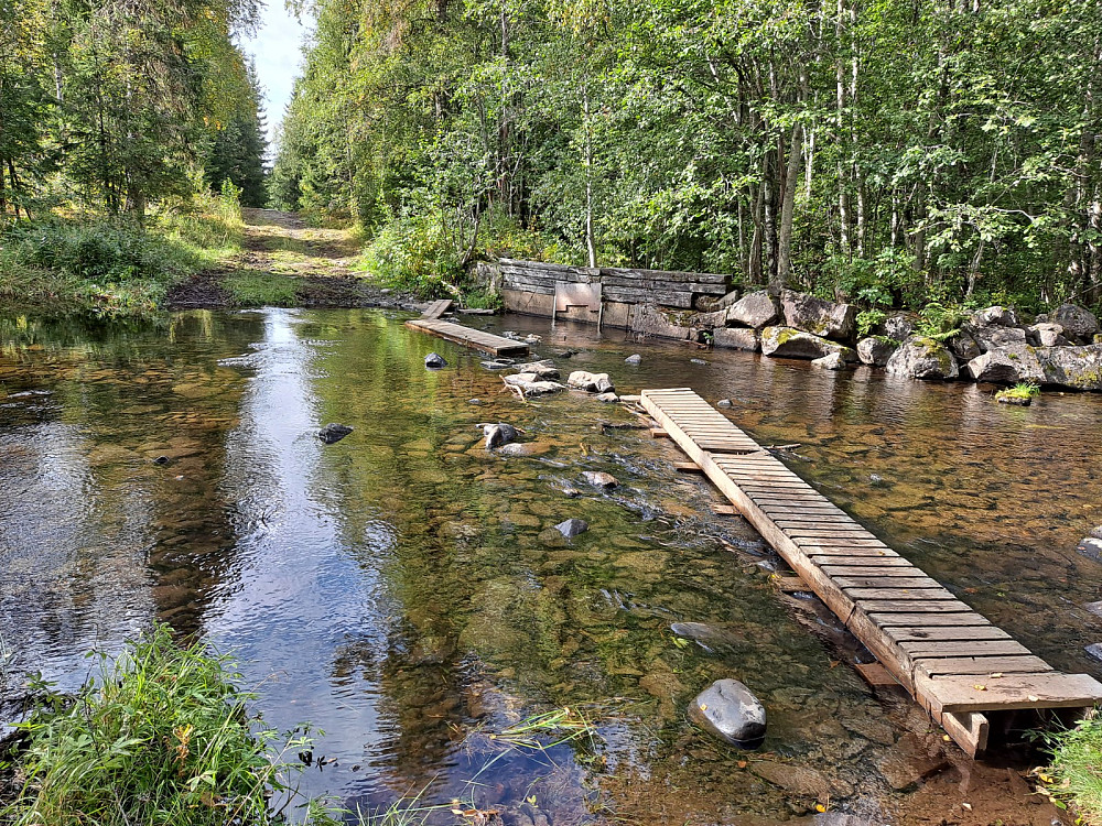 Mesnaelva