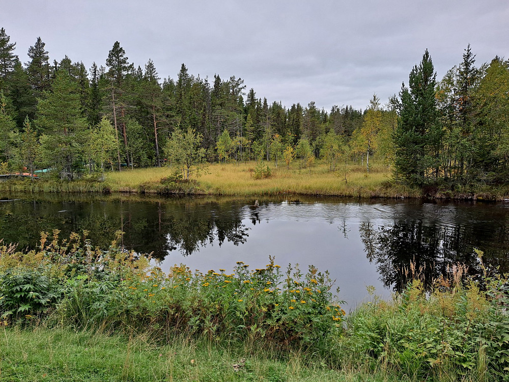 Ved Kanalen
