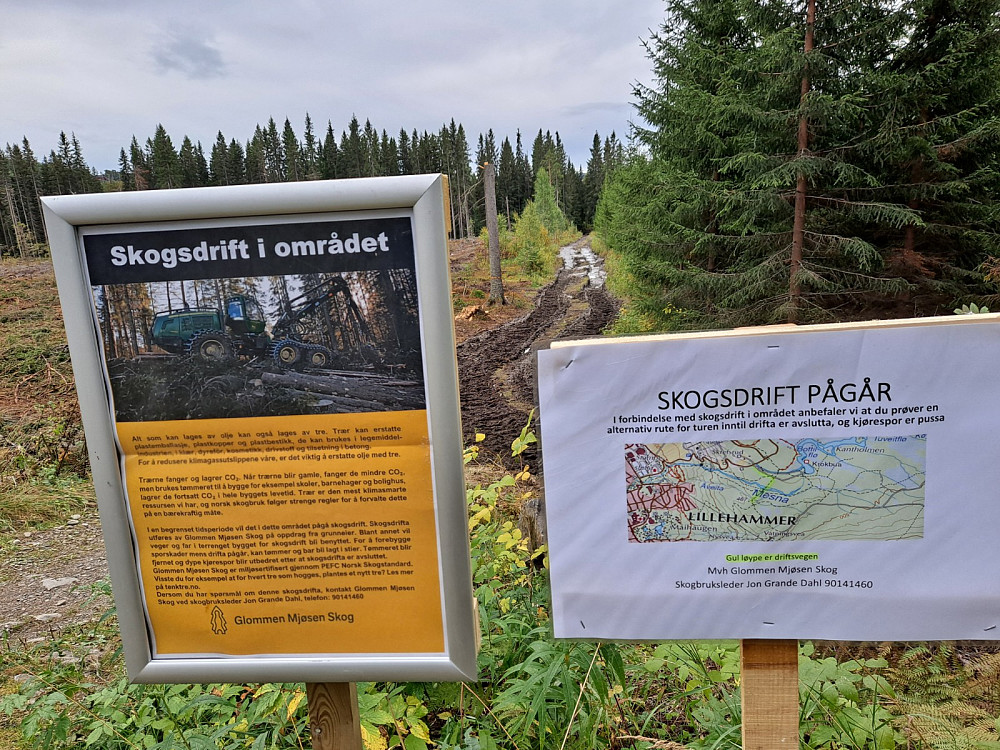 INFOskilt om skogsdrift