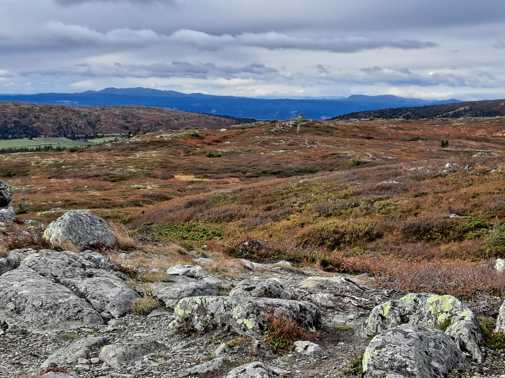 På Reinsfjellet