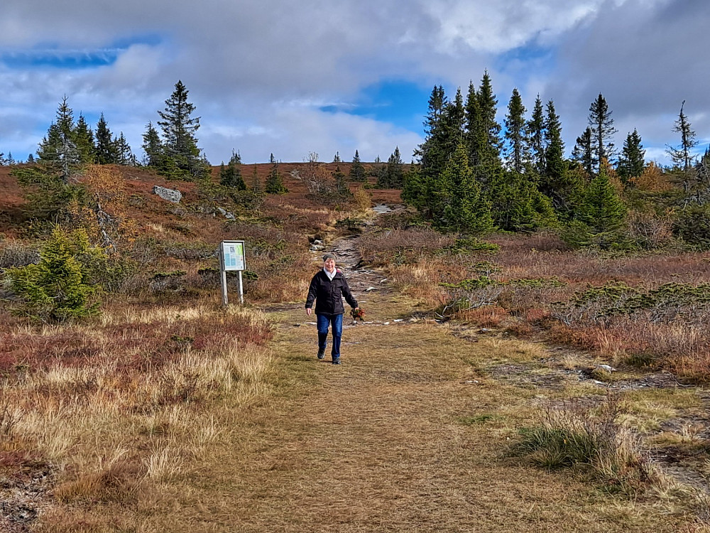 Kommer ned fra Hærfjellet