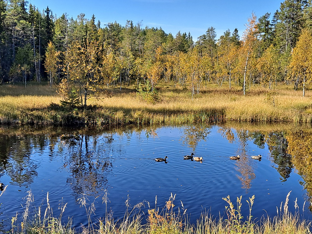 Ved Kanalen