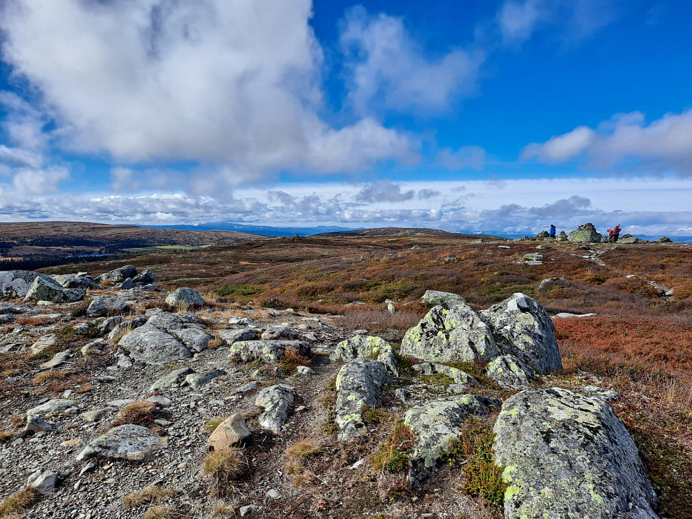 Reinsfjellet
