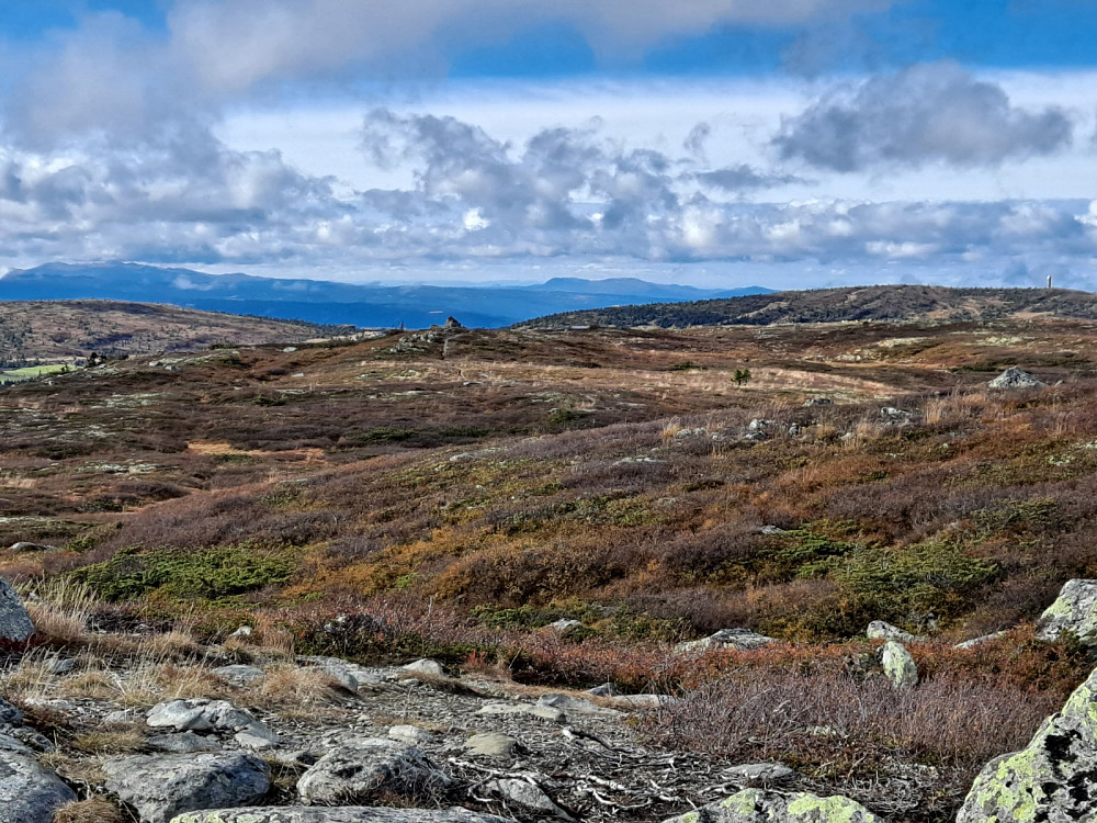 Mot Vestfjellet fra Reinsfjellet