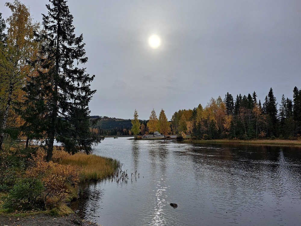 Ved Krokbua