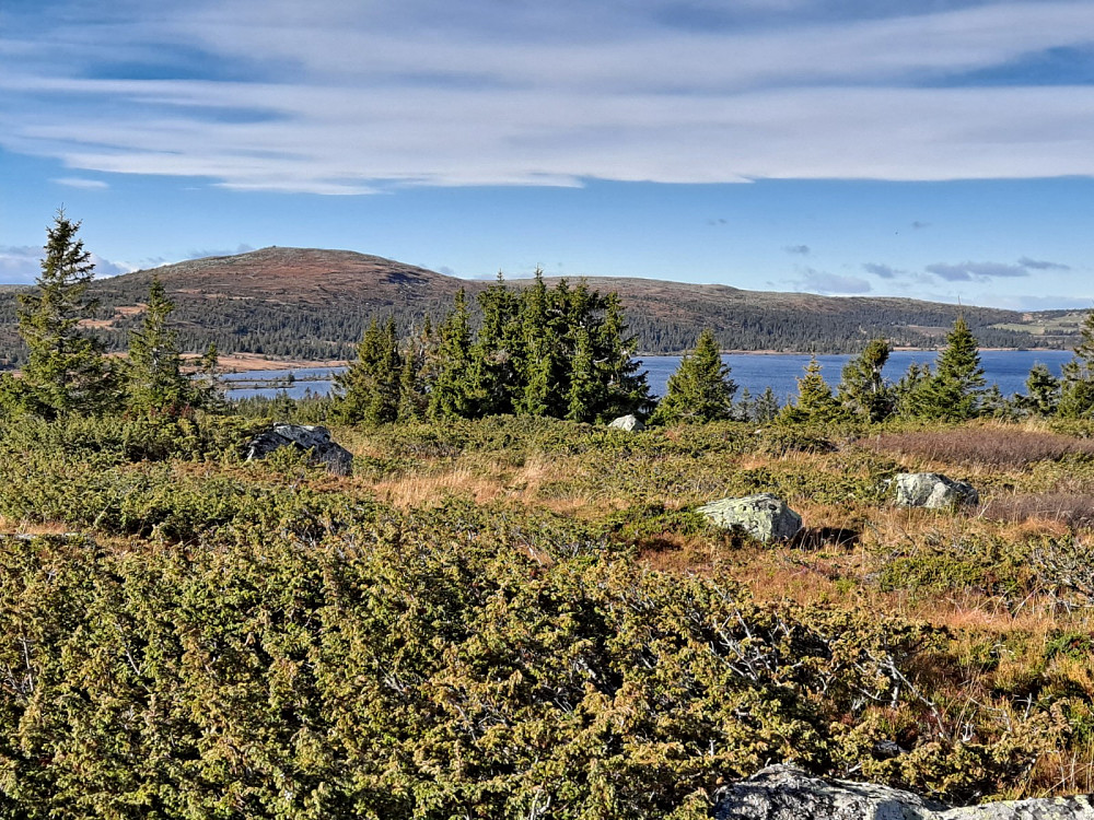 Mot Nevelfjell