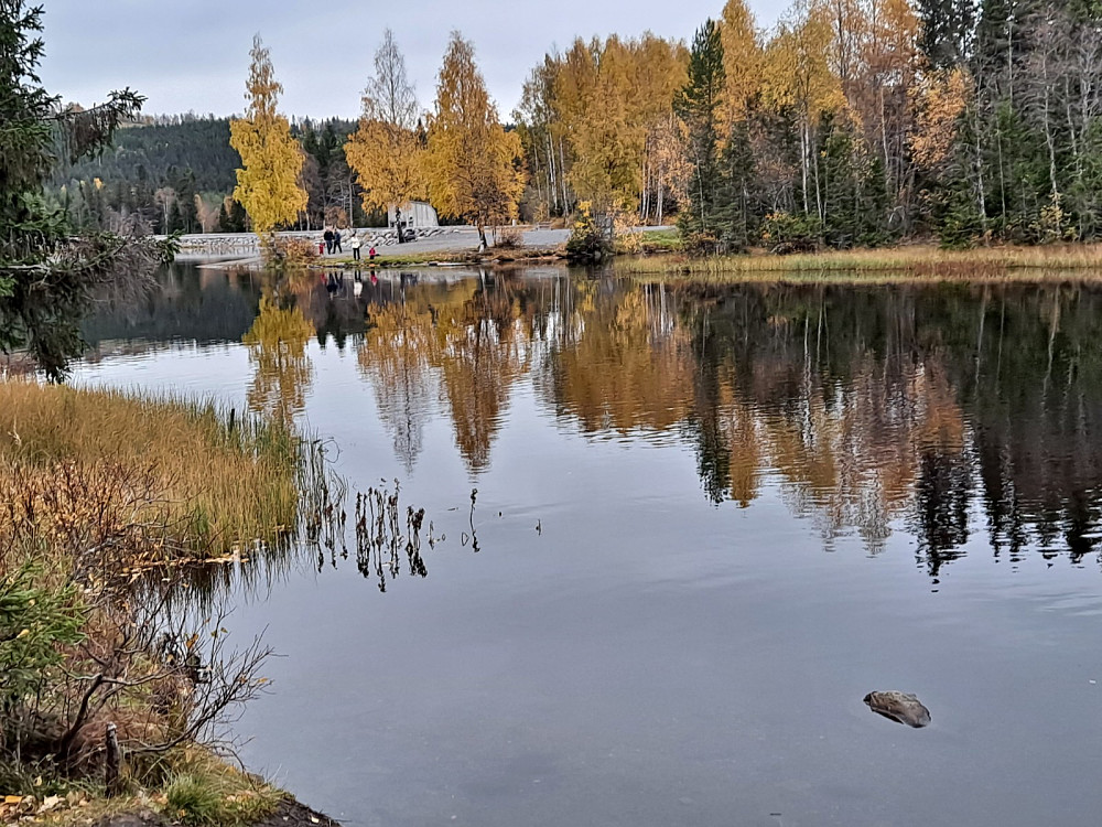 Ved Krokbua